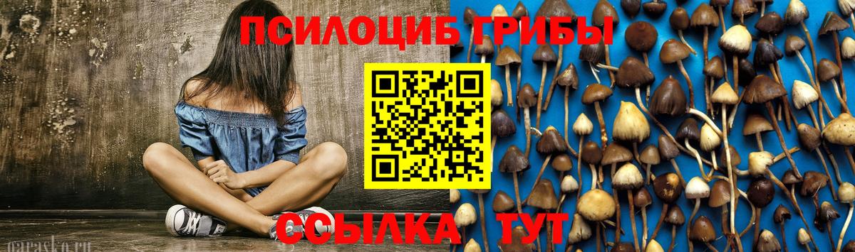Псилоцибиновые грибы прущие грибы Мценск